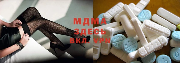 ГАЛЛЮЦИНОГЕННЫЕ ГРИБЫ Лагань