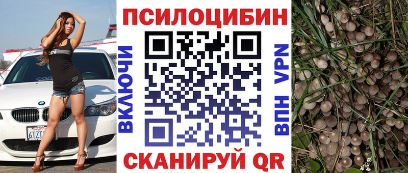 Галлюциногенные грибы GOLDEN TEACHER  Сосновый Бор 